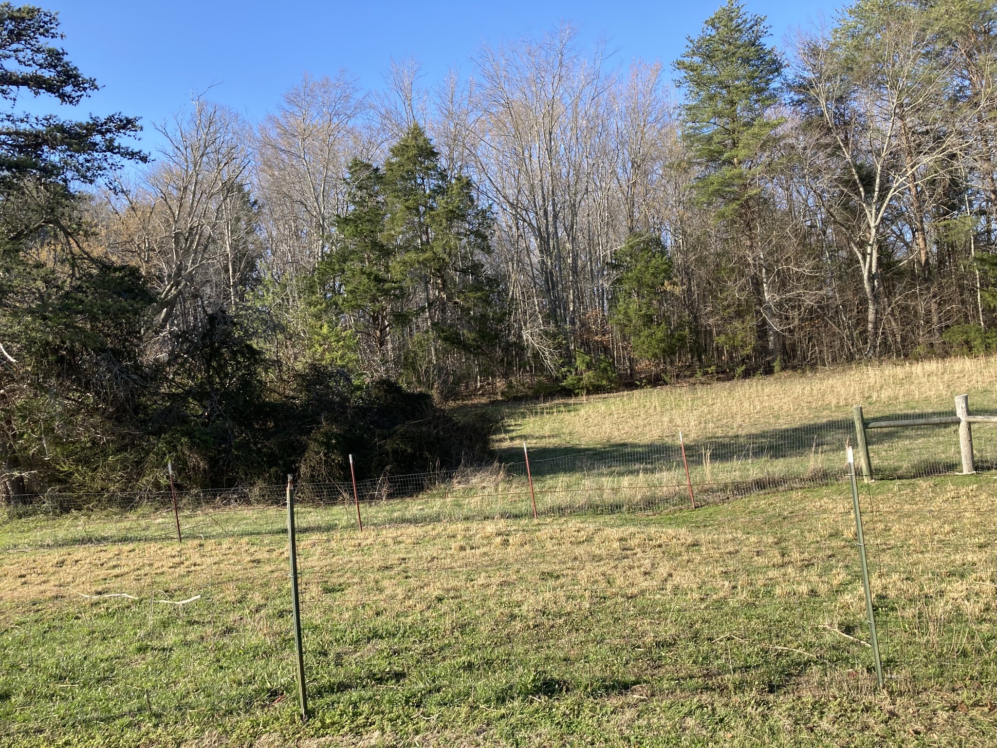 472 Allen Chapel Road Hilham, TN 38568 - Photo 15 of 28 a view of swimming pool