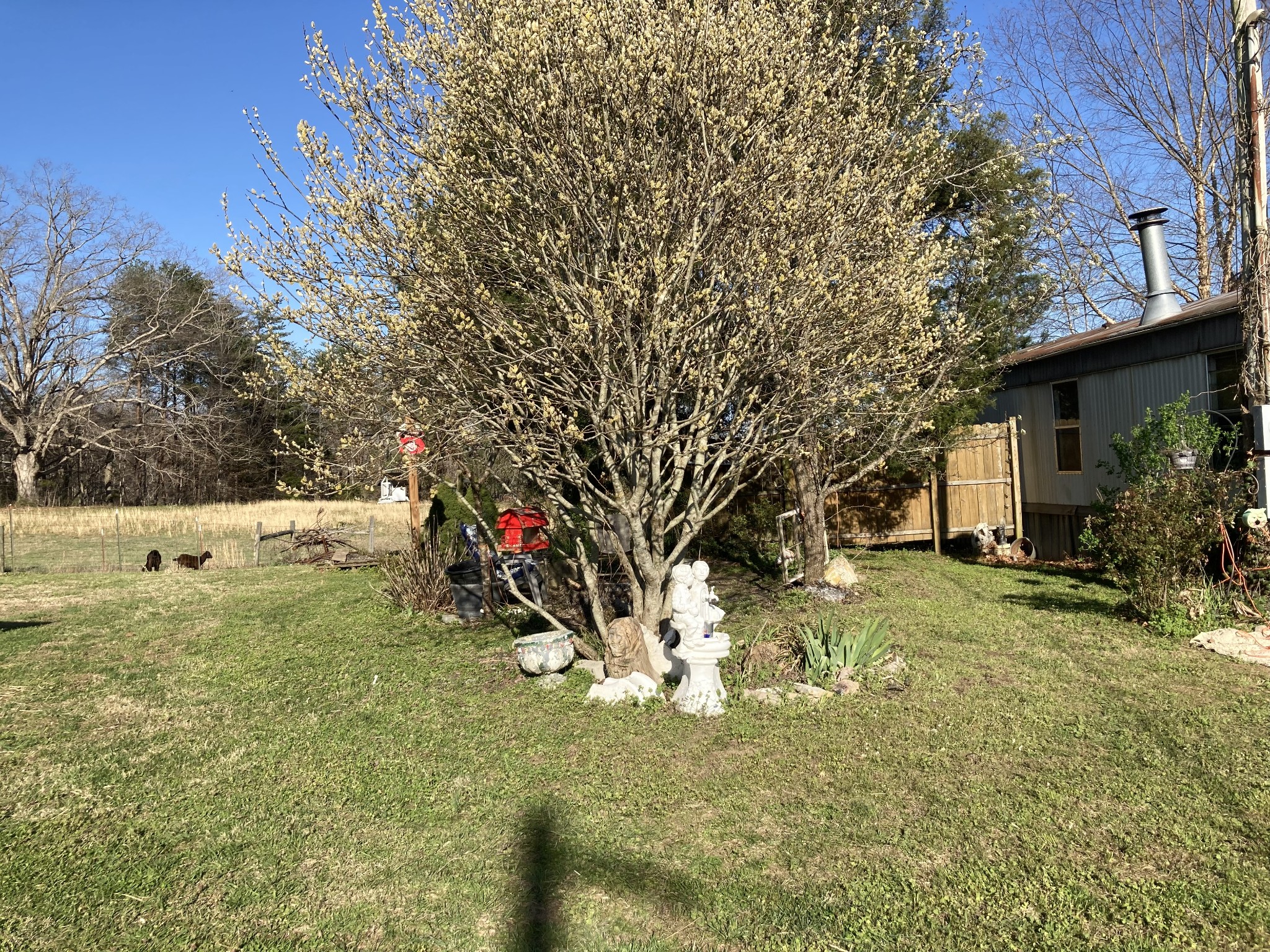 472 Allen Chapel Road Hilham, TN 38568 - Photo 16 of 28 a view of a yard with yellow lighting