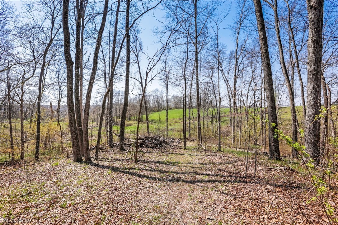 4502 Clover Road Cumberland, OH 43732 - Photo 33 of 38 View of local wilderness