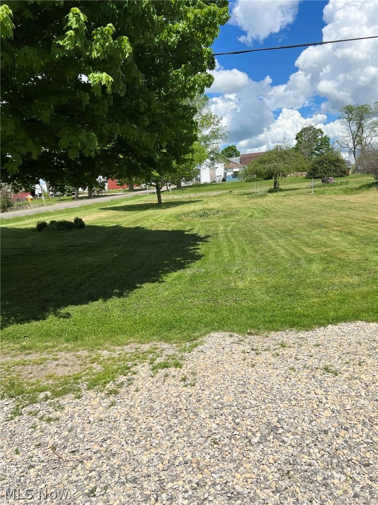 20002 Cadiz Road Quaker City, OH 43773 - Photo 10 of 19 View of yard