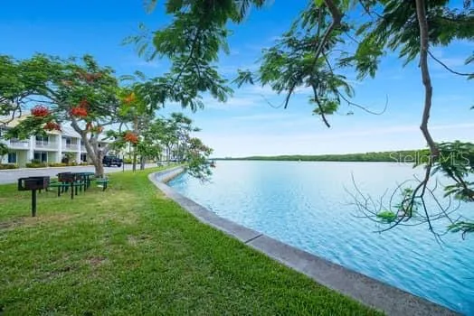 a view of a lake with a palm tree