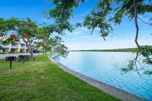 611 Destiny Drive, Unit 210 Ruskin, FL 33570 - Photo 39 of 48 a view of a lake with a palm tree