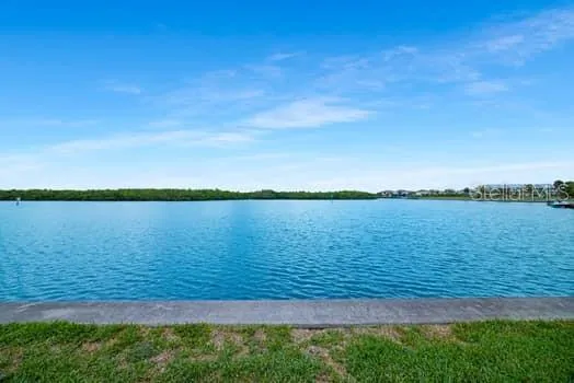 a view of a lake from a yard