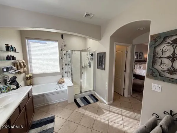 a bathroom with a double vanity sink mirror double shower and a bathtub