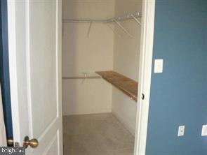 538 Rhapsody Court, Unit 538 Cockeysville, MD 21030 - Photo 24 of 30 Spacious closet with potential storage.
