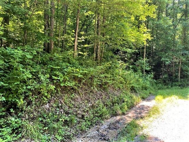2389 Trace Branch Road Livingston, KY 40445 - Photo 15 of 23 15