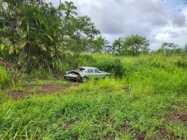 a backyard of a house with a garden and plants