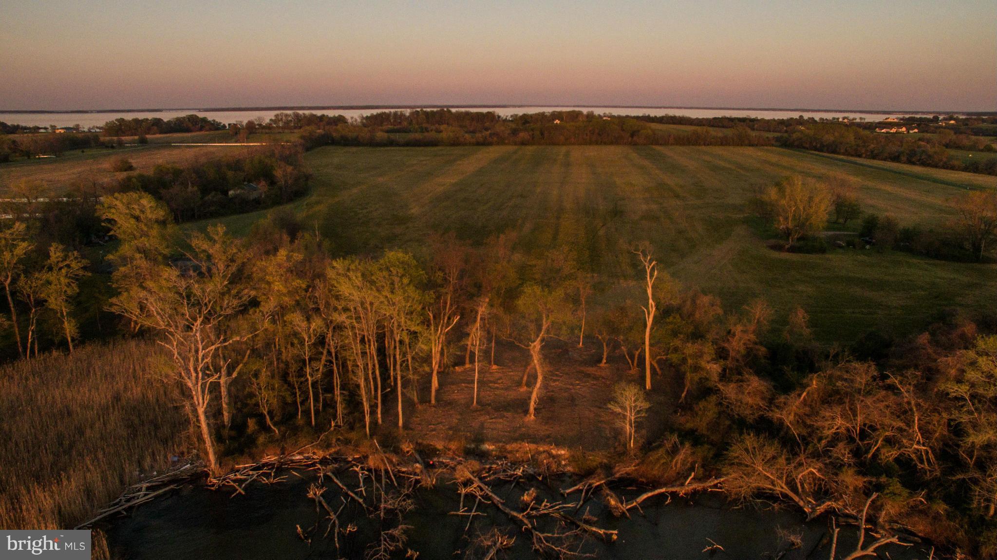 12 Love Point Road Stevensville, MD 21666 - Photo 11 of 14 View