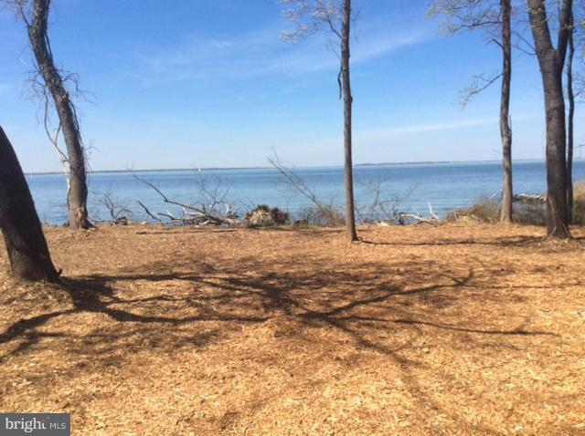 12 Love Point Road Stevensville, MD 21666 - Photo 5 of 14 View