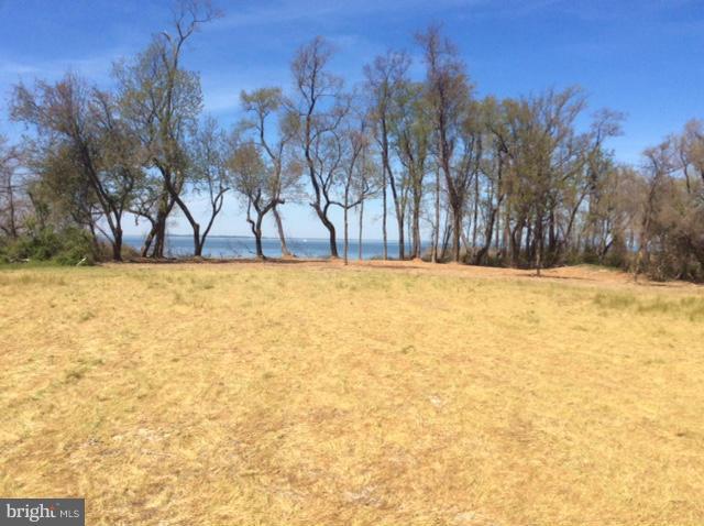 12 Love Point Road Stevensville, MD 21666 - Photo 7 of 14 View