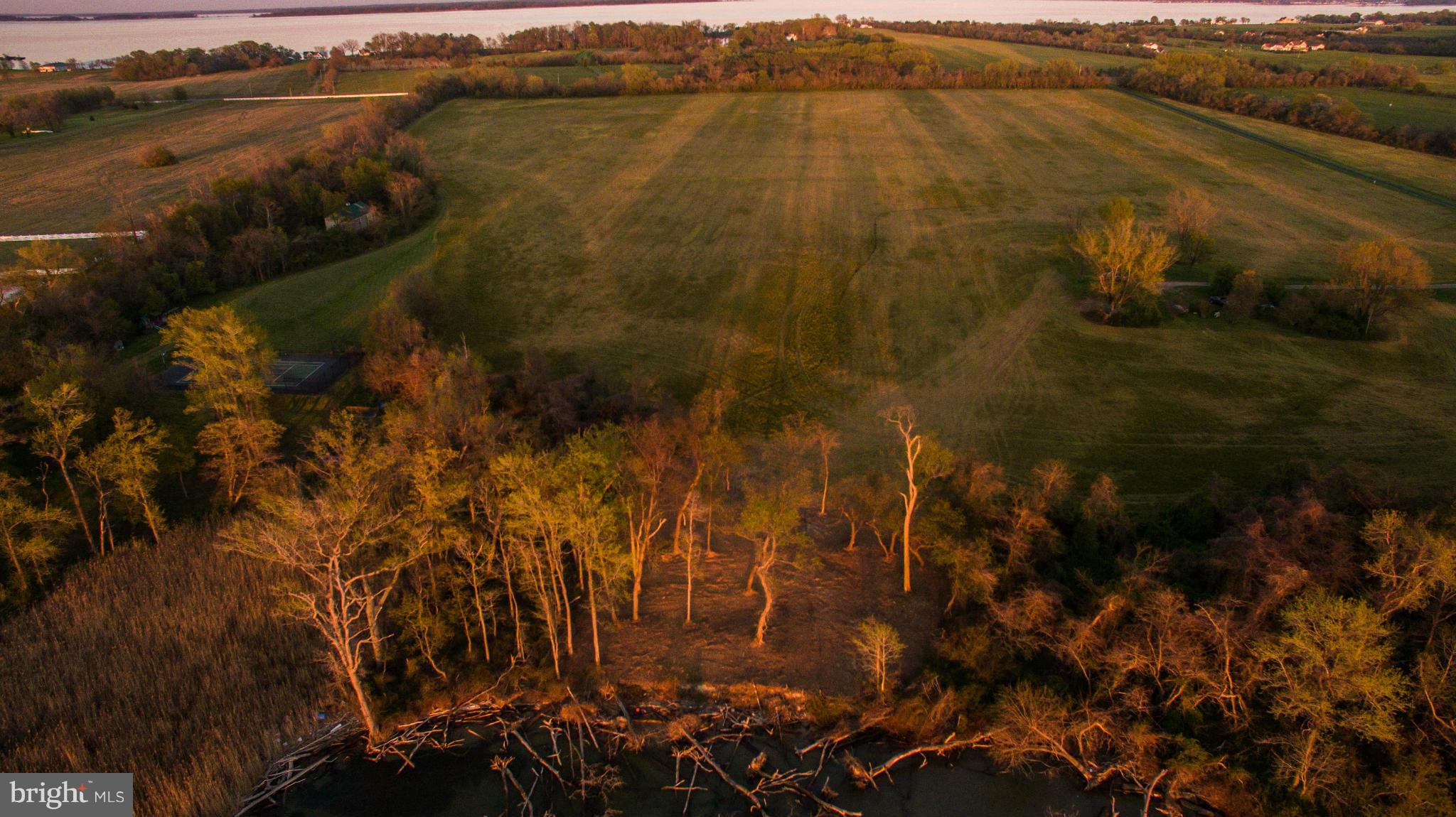12 Love Point Road Stevensville, MD 21666 - Photo 10 of 14 View