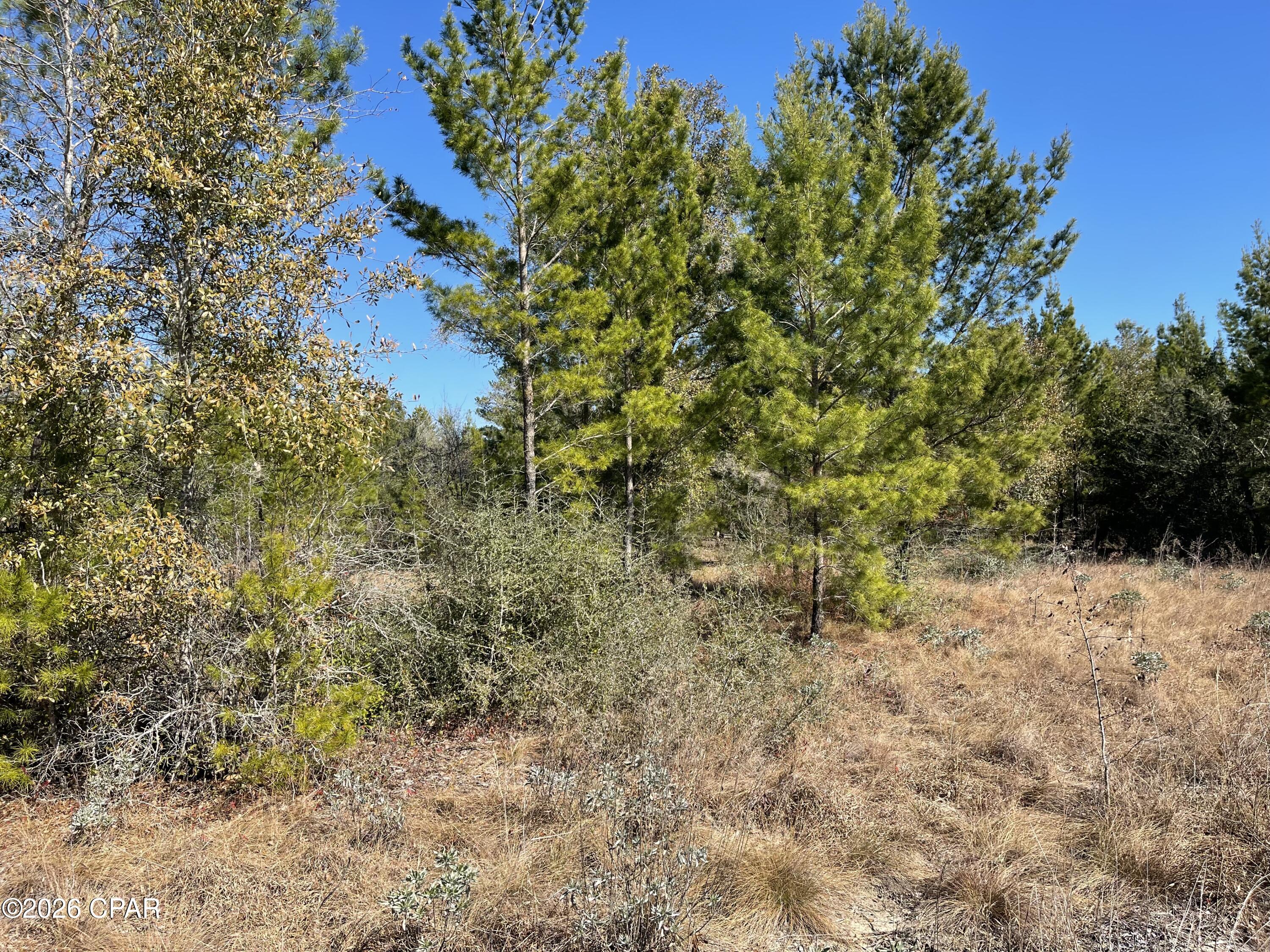 0 Velvet Drive Chipley, FL 32428 - Photo 2 of 14