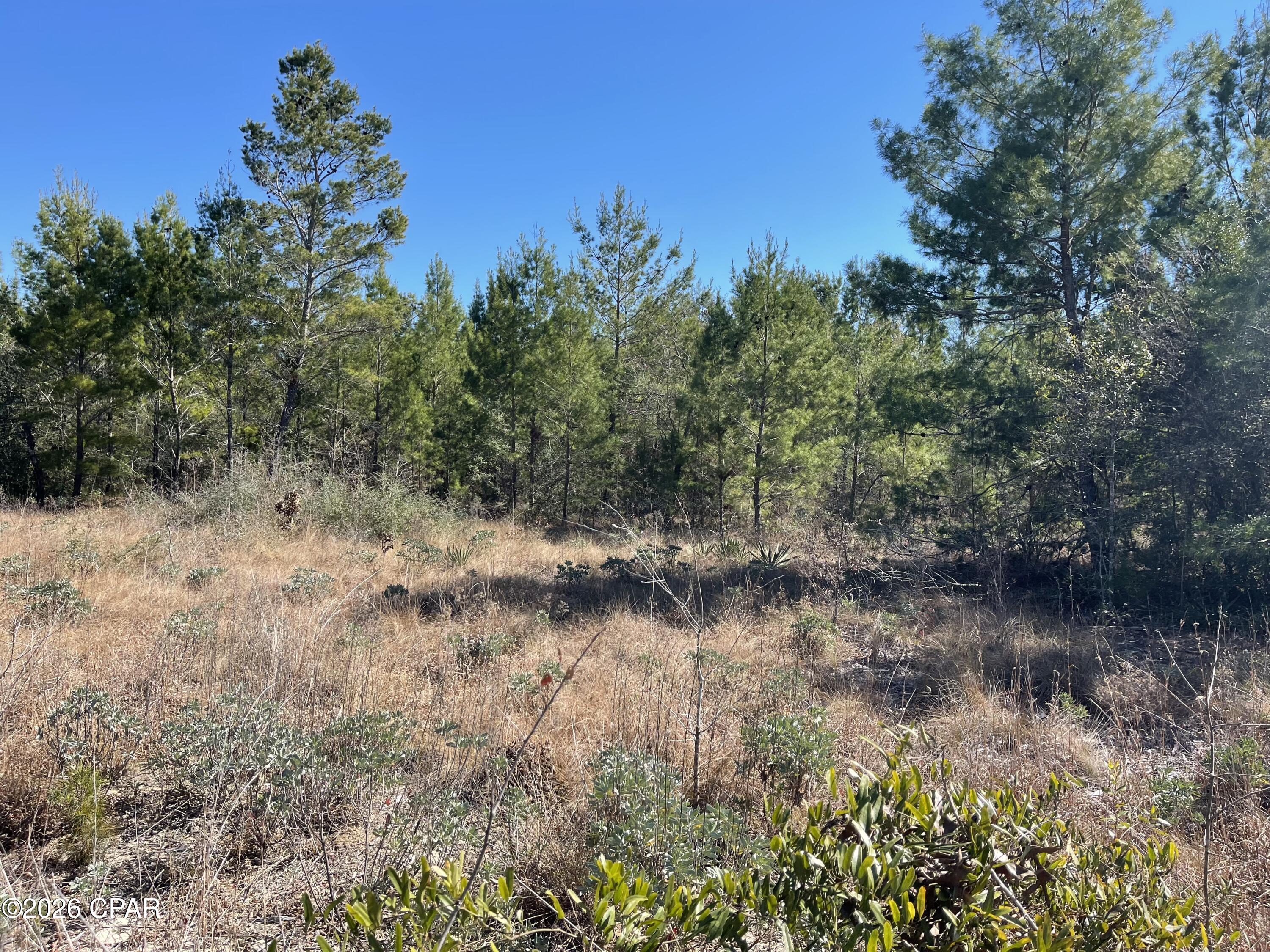 0 Velvet Drive Chipley, FL 32428 - Photo 3 of 14