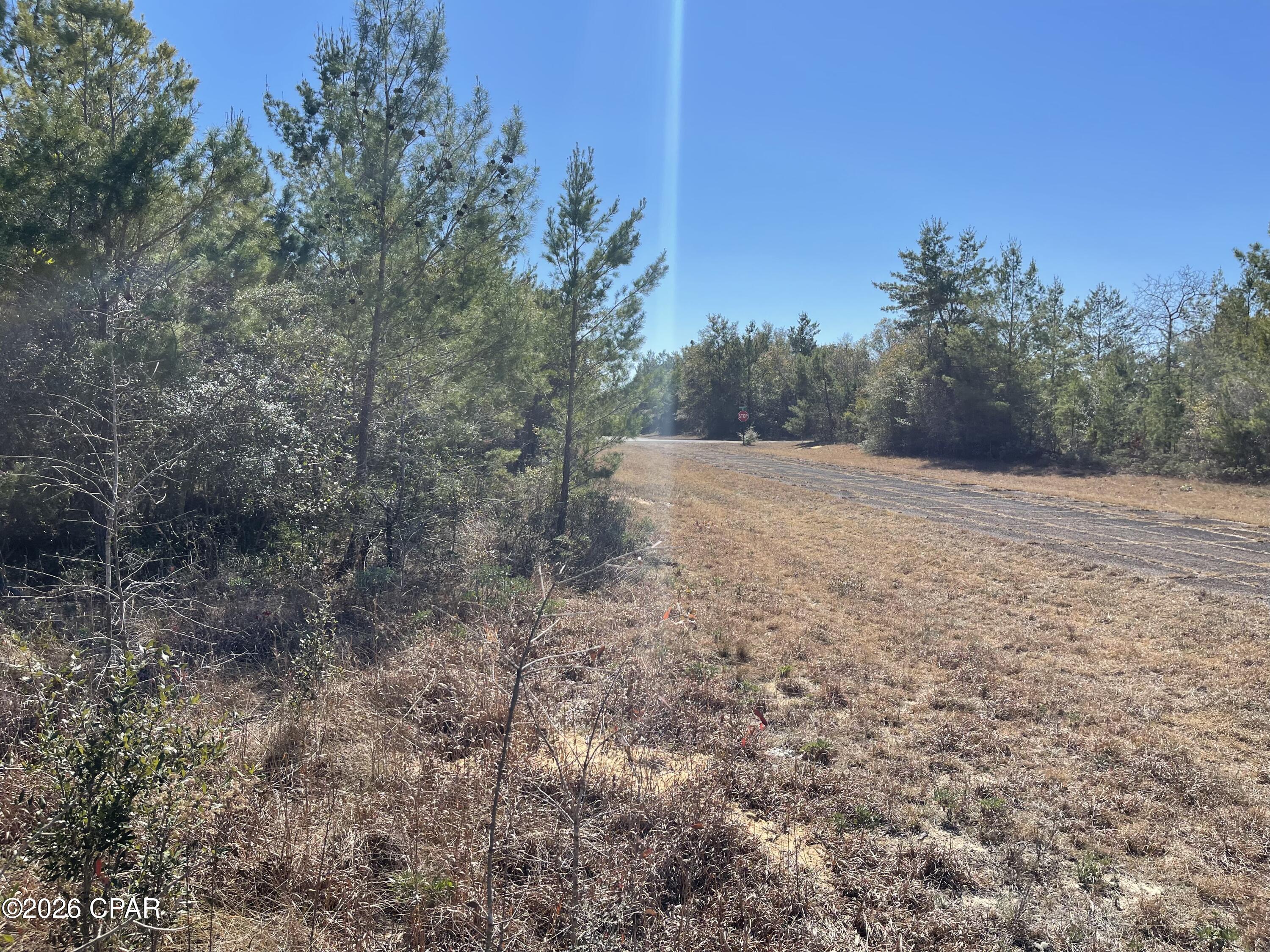 0 Velvet Drive Chipley, FL 32428 - Photo 4 of 14