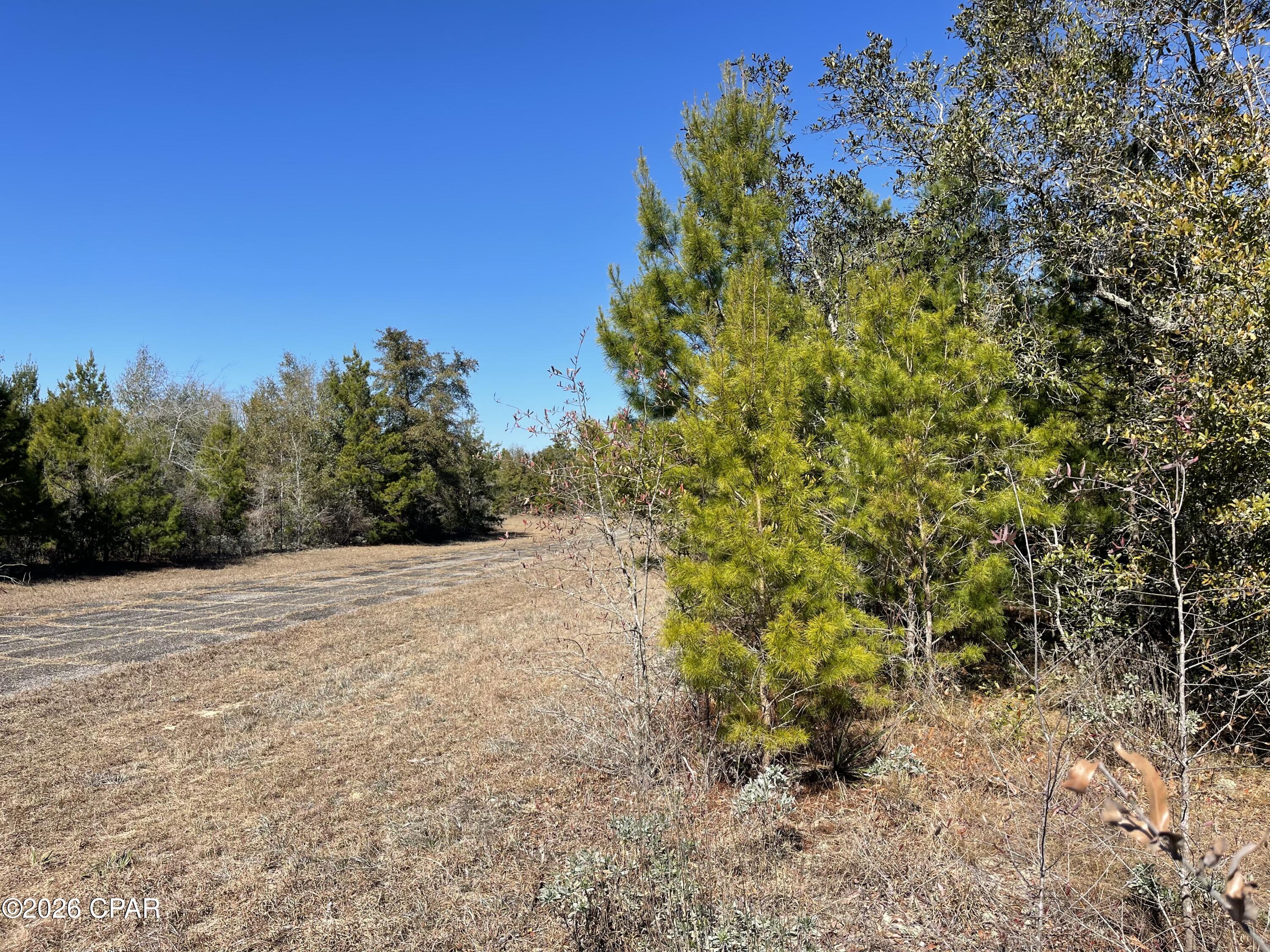 0 Velvet Drive Chipley, FL 32428 - Photo 5 of 14