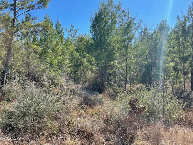 $10,500 | 0 Velvet Drive, Chipley, FL 32428