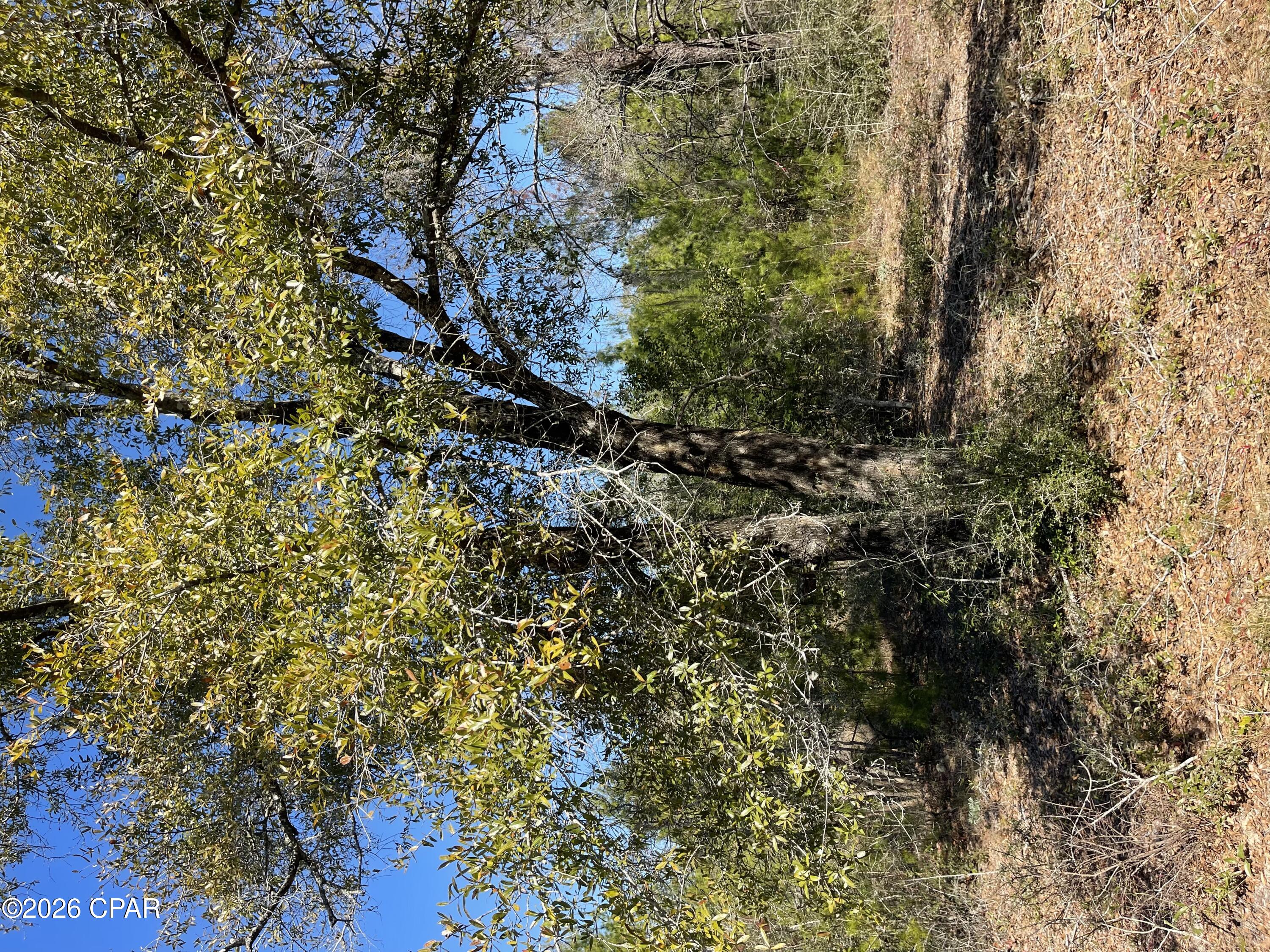 0 Velvet Drive Chipley, FL 32428 - Photo 9 of 14