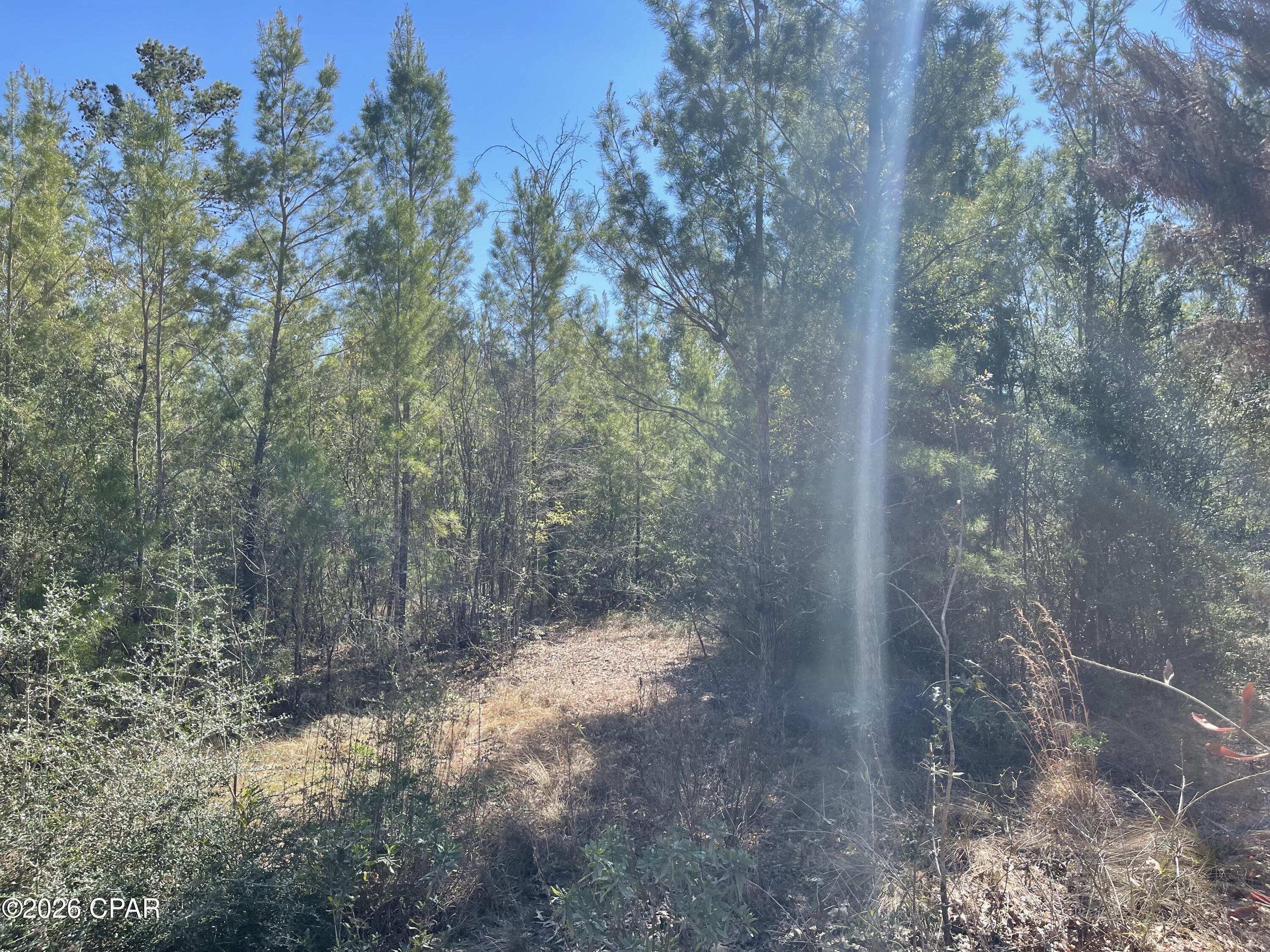 0 Velvet Drive Chipley, FL 32428 - Photo 10 of 14