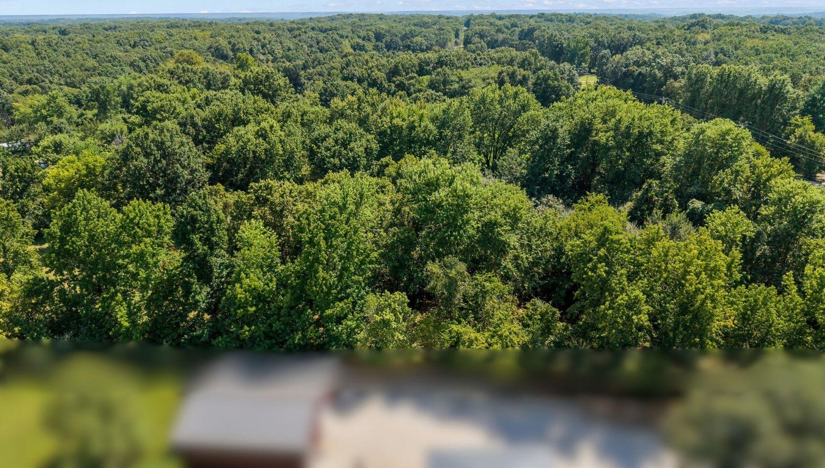 7 3.40 Ac State Road Holts Summit, MO 65043 - Photo 3 of 11 Gallery Image 3