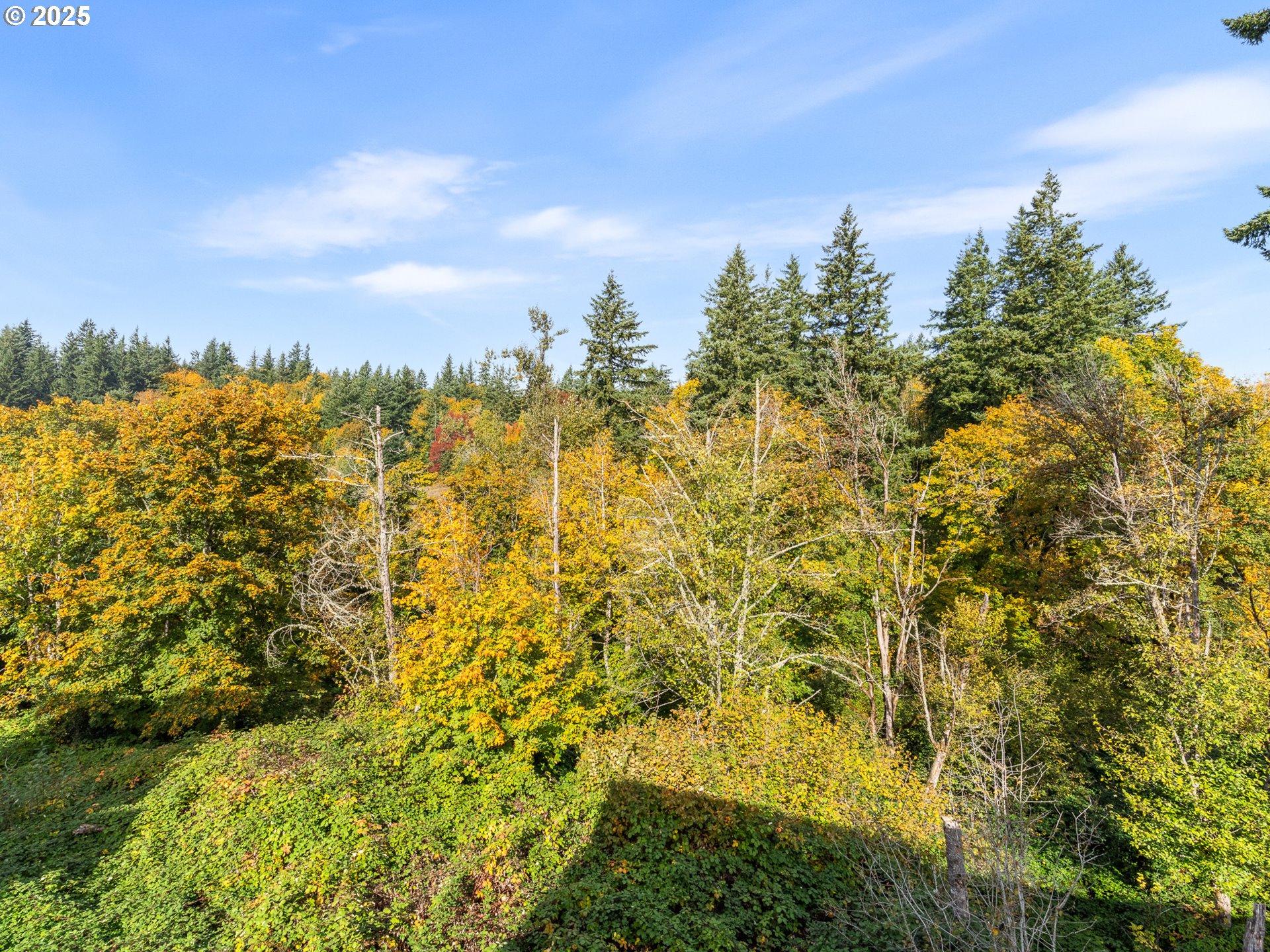 841 Southwest 49th Street Gresham, OR 97080 - Photo 44 of 44