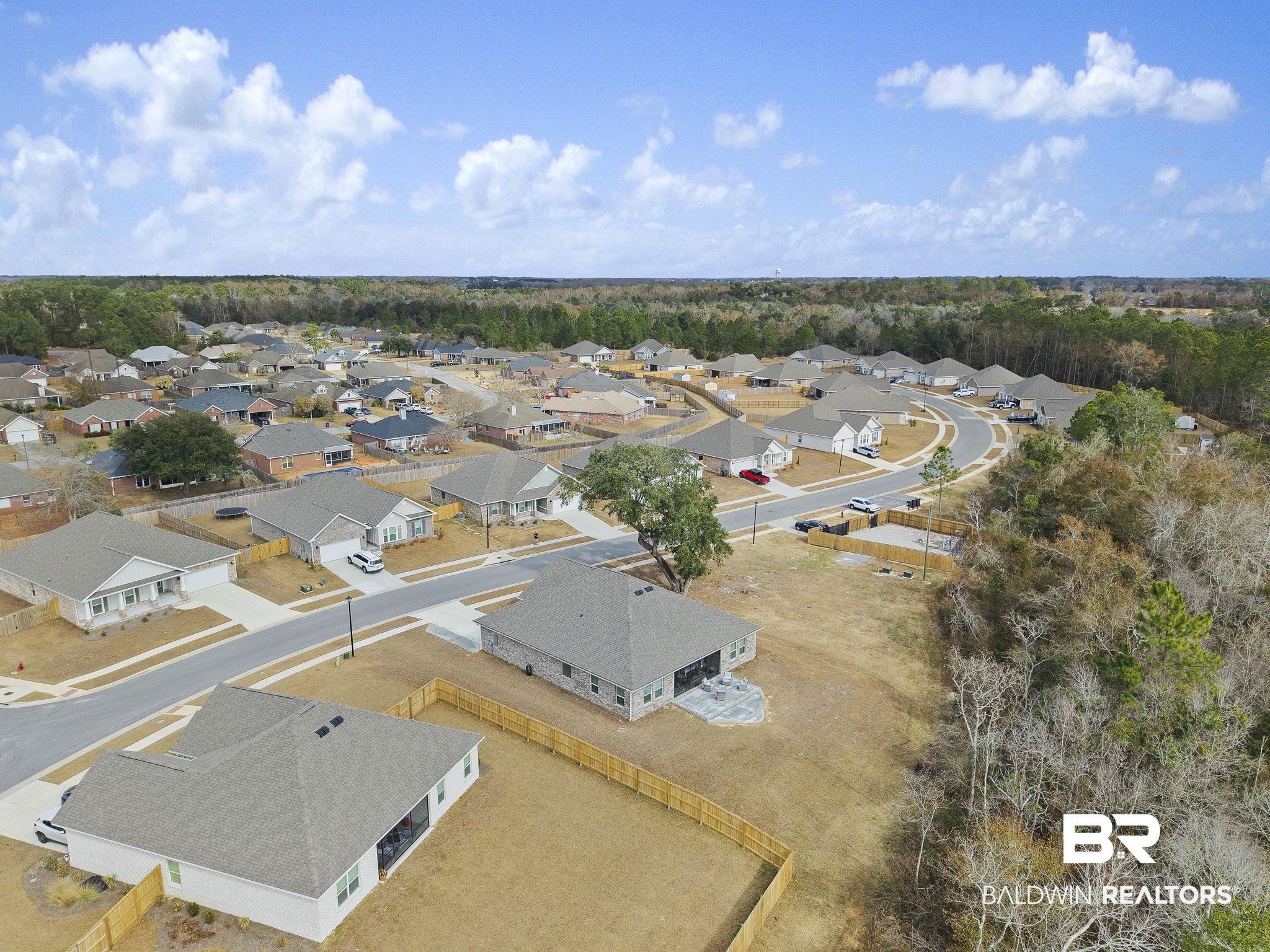 1141 Pencarro Boulevard Foley, AL 36535 - Photo 65 of 70 Aerial view