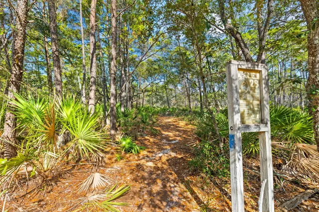 a backyard of a house with lots of trees
