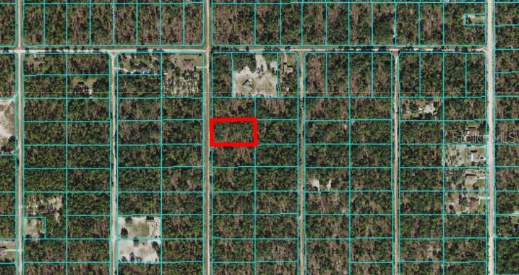 Tbd Southwest 125th Ct Road Dunnellon, FL 34432 - Photo 1 of 1 Gallery Image 1