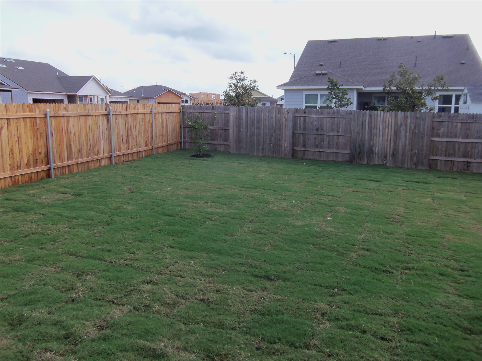 303 Cold Springs Loop Bastrop, TX 78602 - Photo 12 of 13 A verdant lawn is enclosed by new wood fencing, creating a private outdoor retreat.