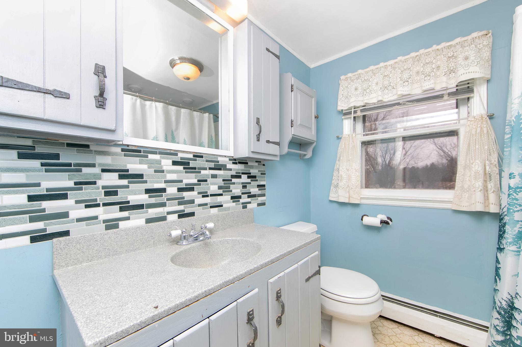 126 Trewigtown Road Chalfont, PA 18914 - Photo 10 of 15 a bathroom with a sink a toilet and a mirror