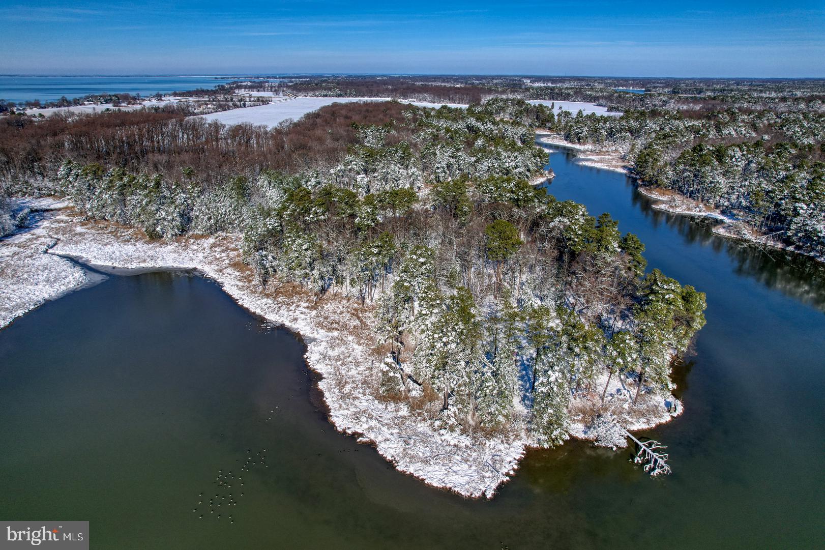 3779 Eastern Neck Road Rock Hall, MD 21661 - Photo 1 of 23 Gallery Image 1