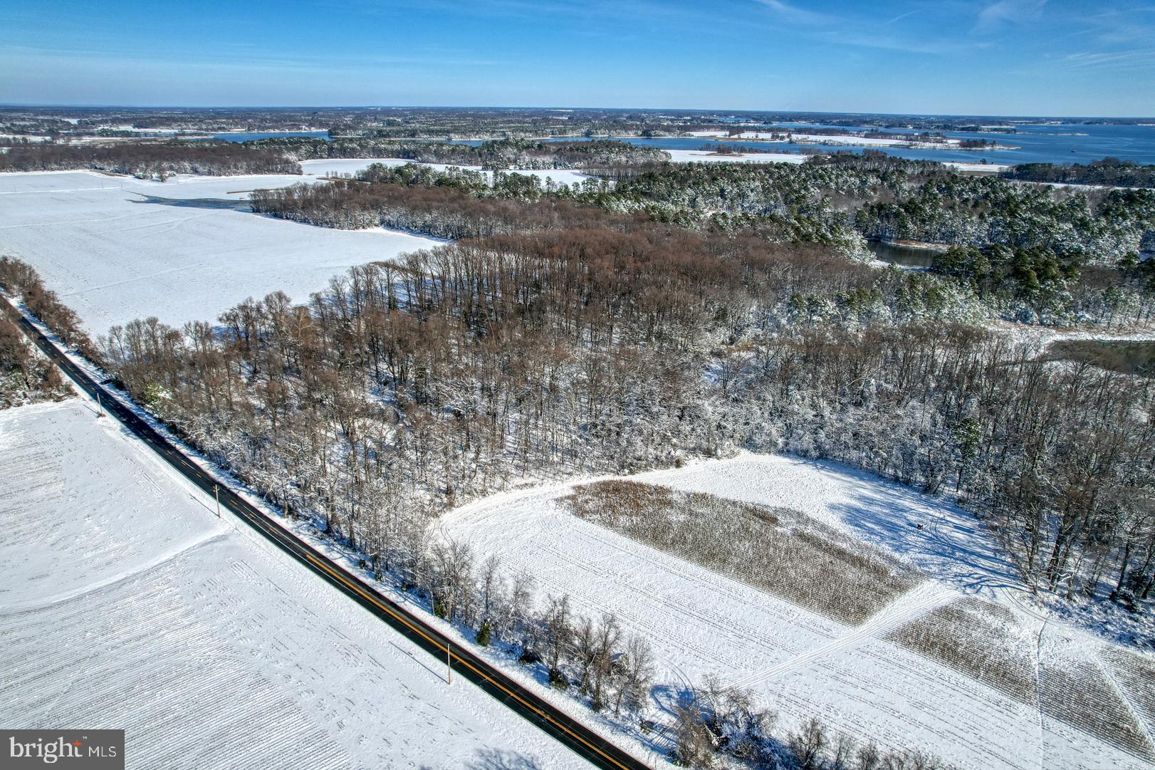 3779 Eastern Neck Road Rock Hall, MD 21661 - Photo 18 of 23 Gallery Image 18