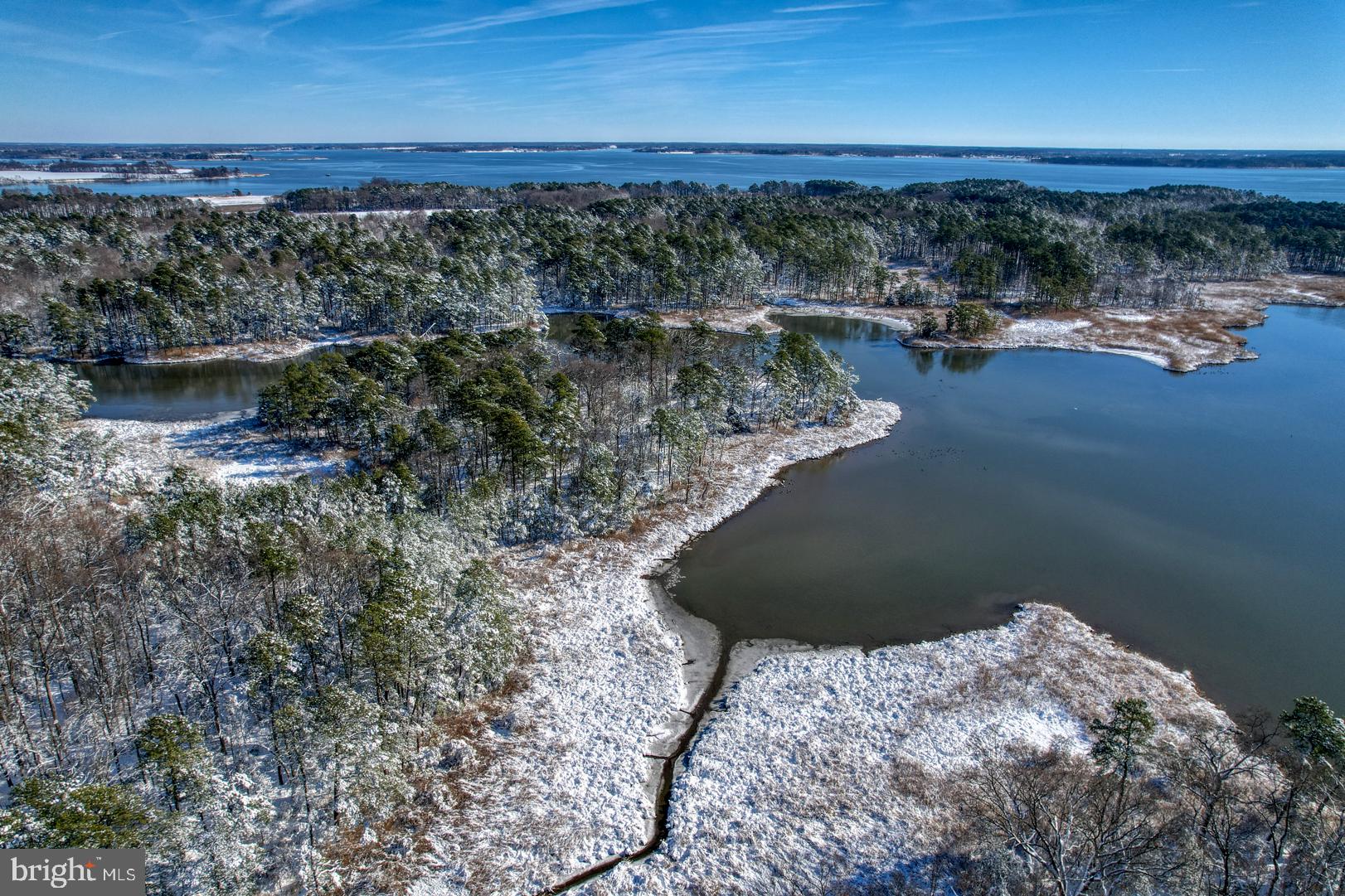 3779 Eastern Neck Road Rock Hall, MD 21661 - Photo 6 of 23 Gallery Image 6