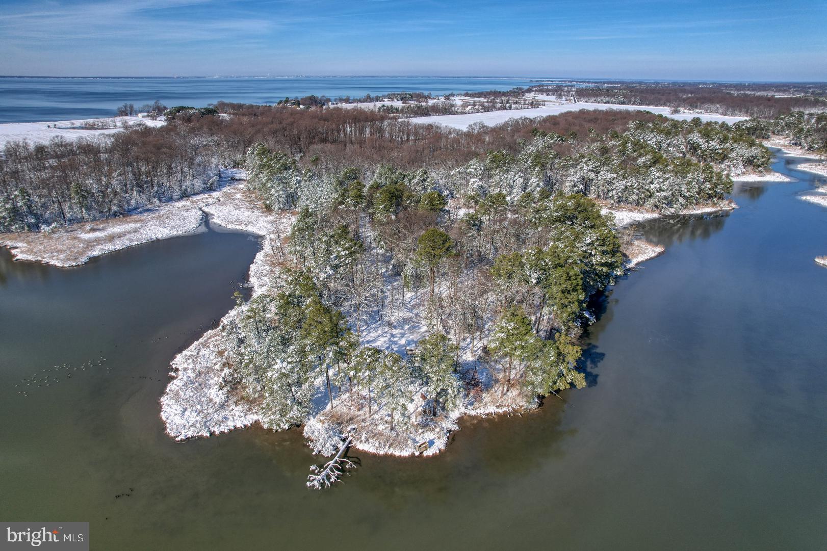 3779 Eastern Neck Road Rock Hall, MD 21661 - Photo 7 of 23 Gallery Image 7