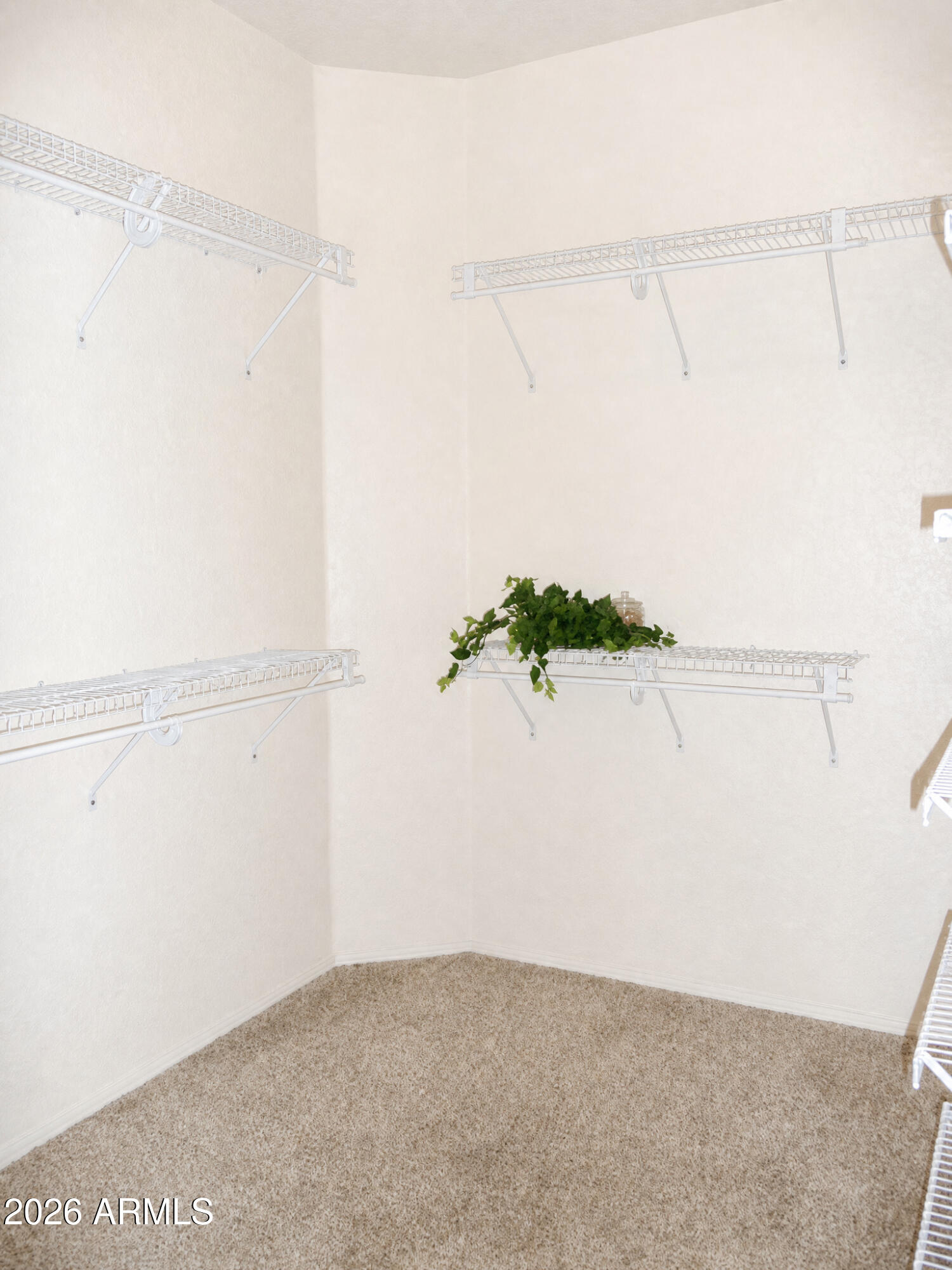 3670 East Warbler Road Gilbert, AZ 85297 - Photo 9 of 14 Primary Closet