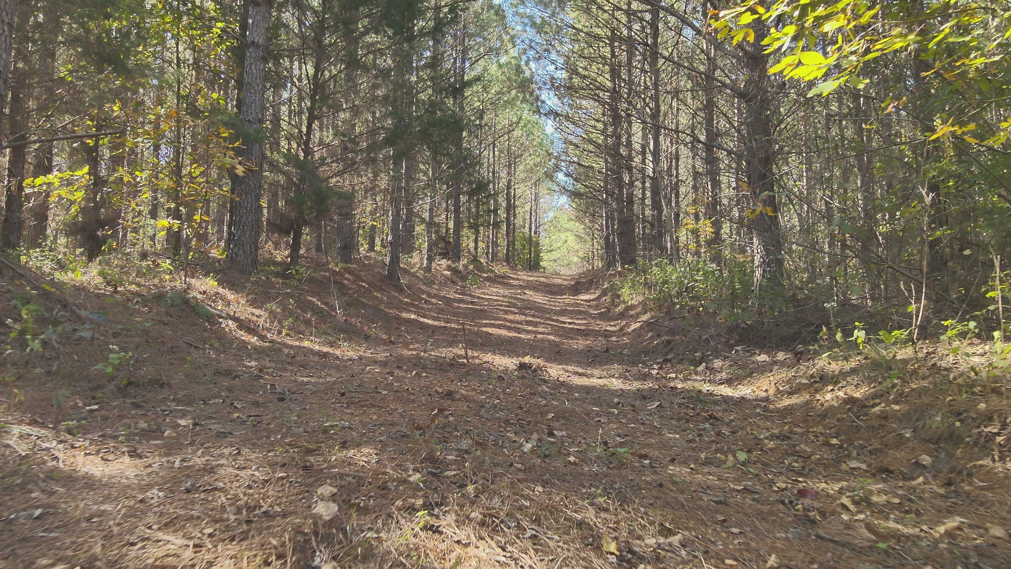 0 Owl Hollow Road Linden, TN 37096 - Photo 13 of 28 Gallery Image 13
