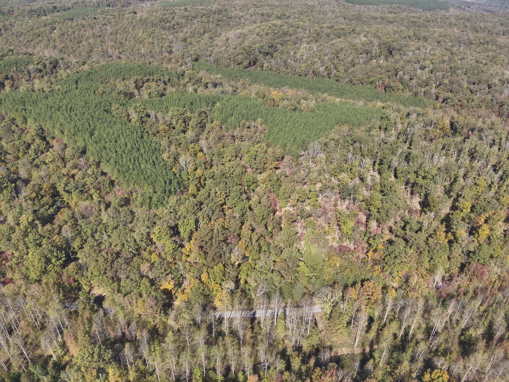 0 Owl Hollow Road Linden, TN 37096 - Photo 16 of 28 Gallery Image 16