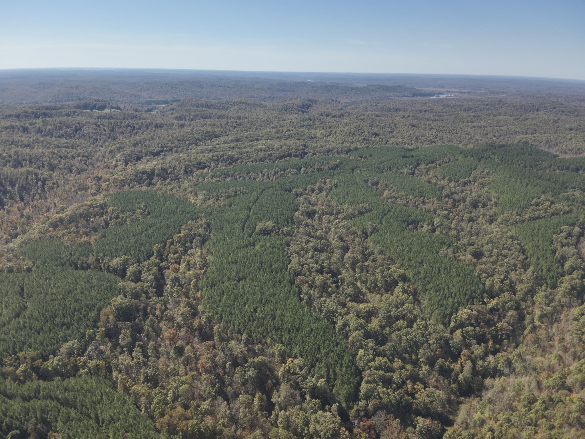 0 Owl Hollow Road Linden, TN 37096 - Photo 17 of 28 Gallery Image 17
