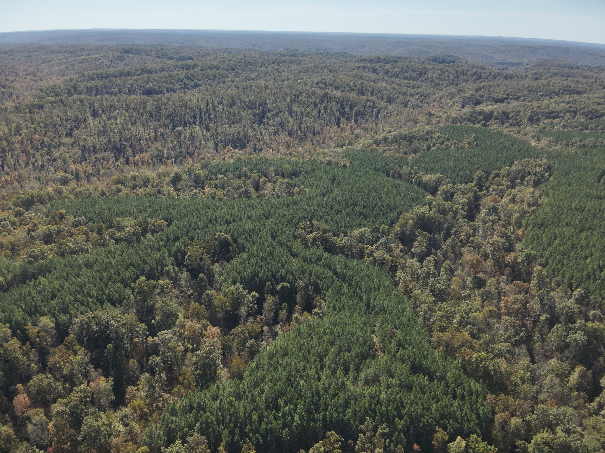 0 Owl Hollow Road Linden, TN 37096 - Photo 18 of 28 Gallery Image 18