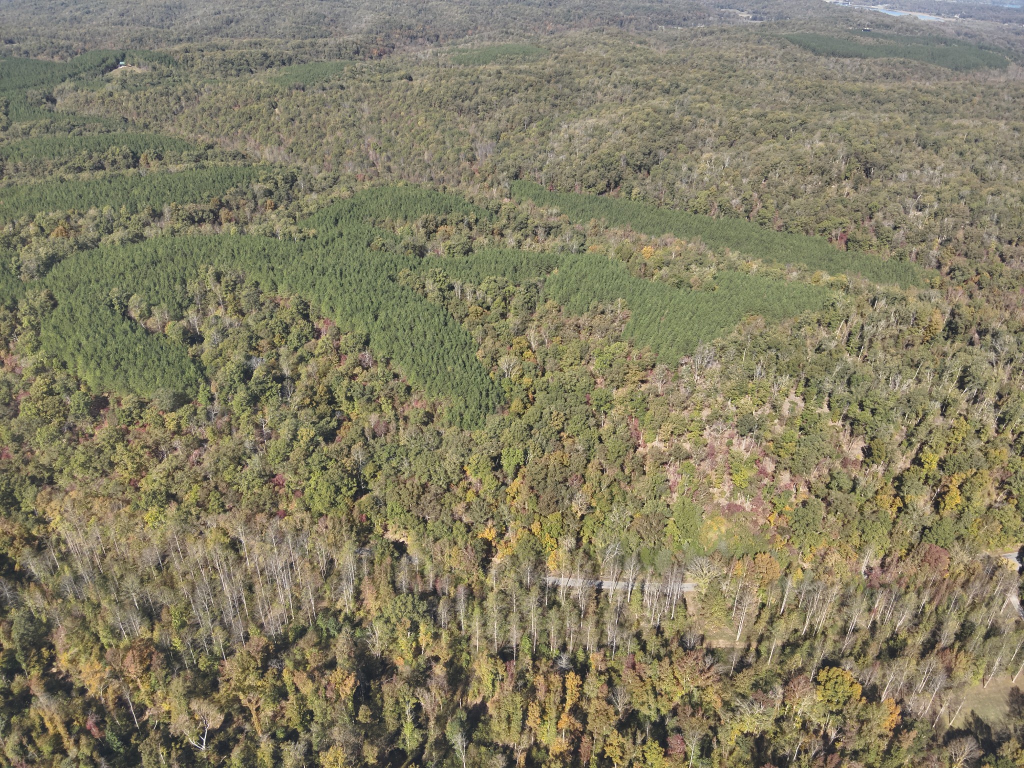 0 Owl Hollow Road Linden, TN 37096 - Photo 19 of 28 Gallery Image 19