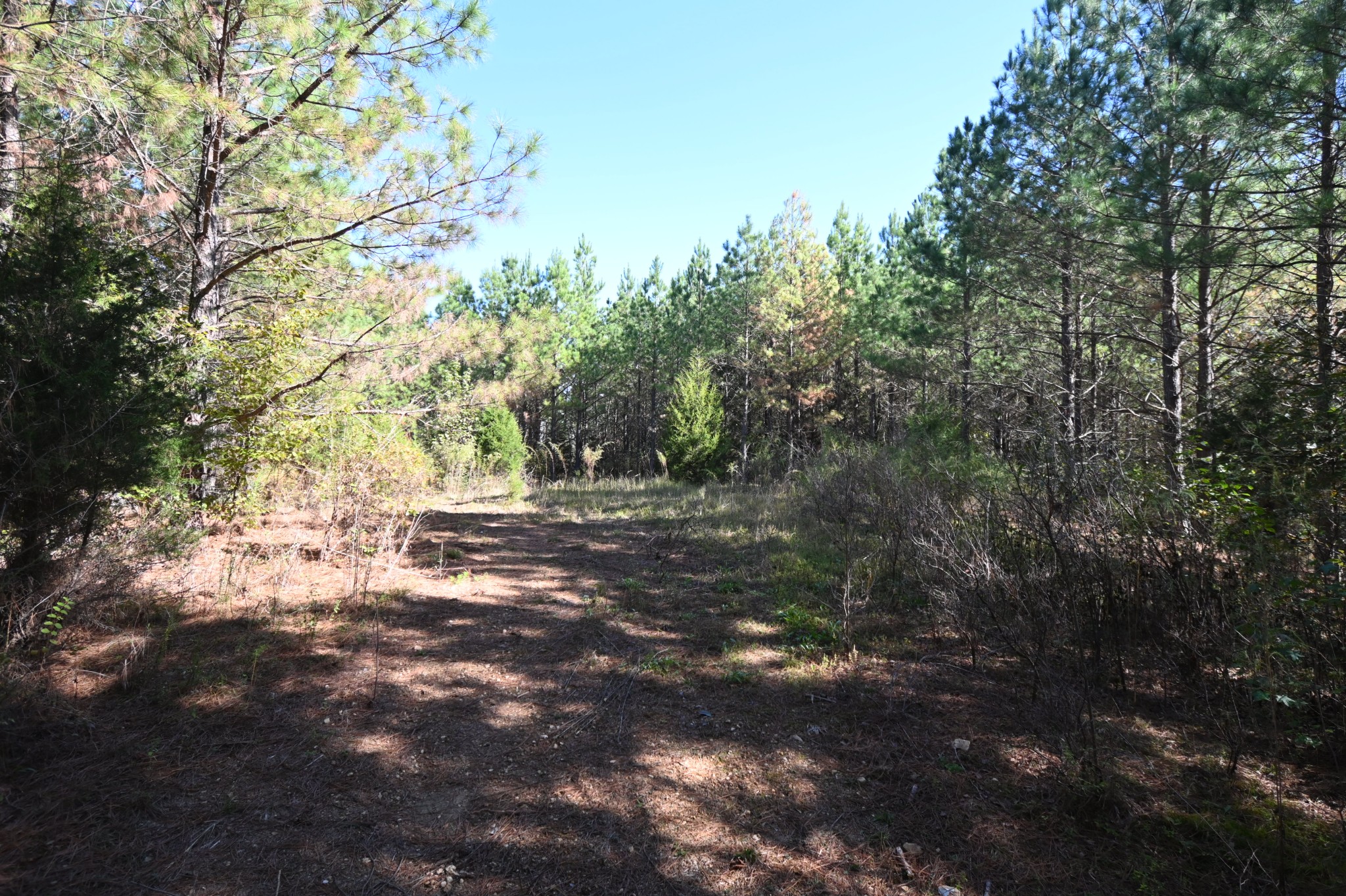 0 Owl Hollow Road Linden, TN 37096 - Photo 24 of 28 Gallery Image 24