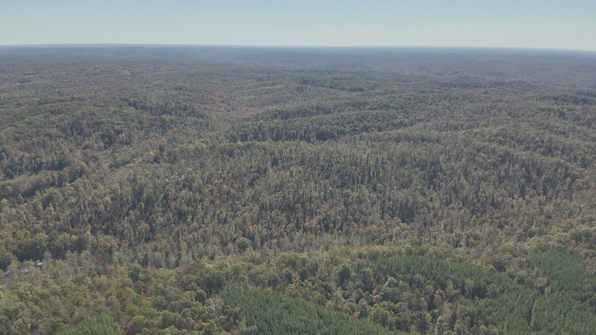 0 Owl Hollow Road Linden, TN 37096 - Photo 27 of 28 Gallery Image 27