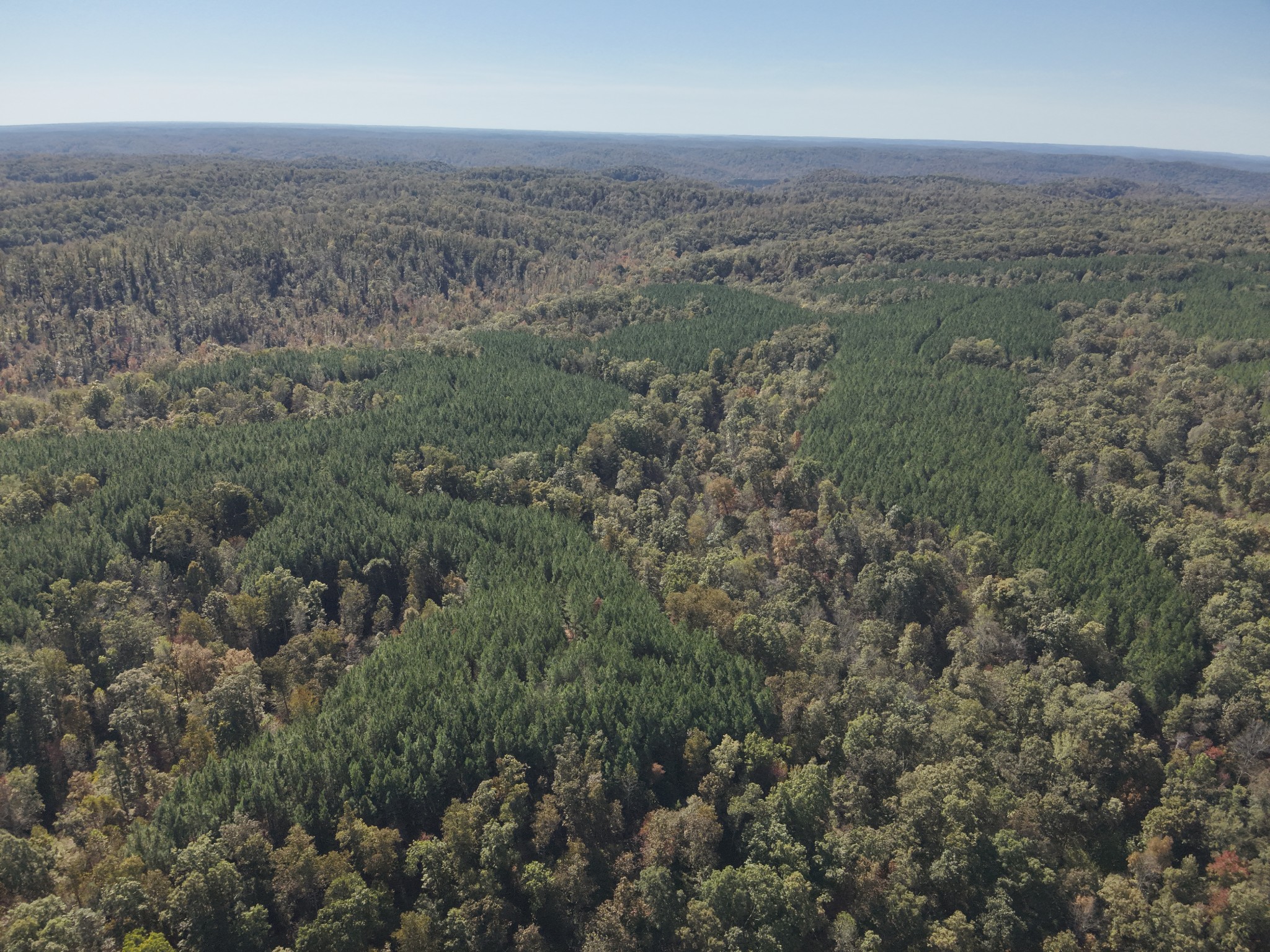 0 Owl Hollow Road Linden, TN 37096 - Photo 8 of 28 Gallery Image 8
