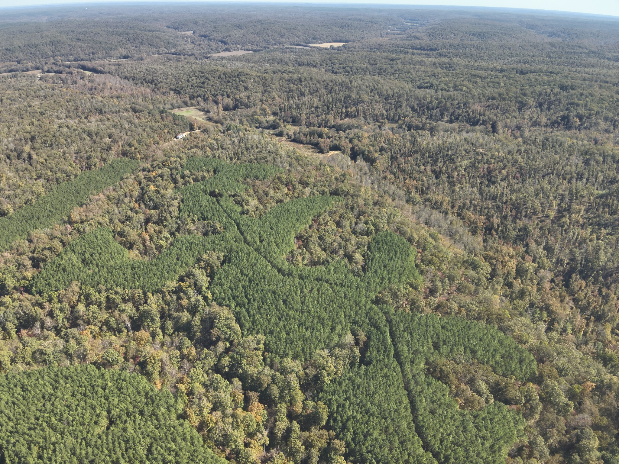 0 Owl Hollow Road Linden, TN 37096 - Photo 9 of 28 Gallery Image 9