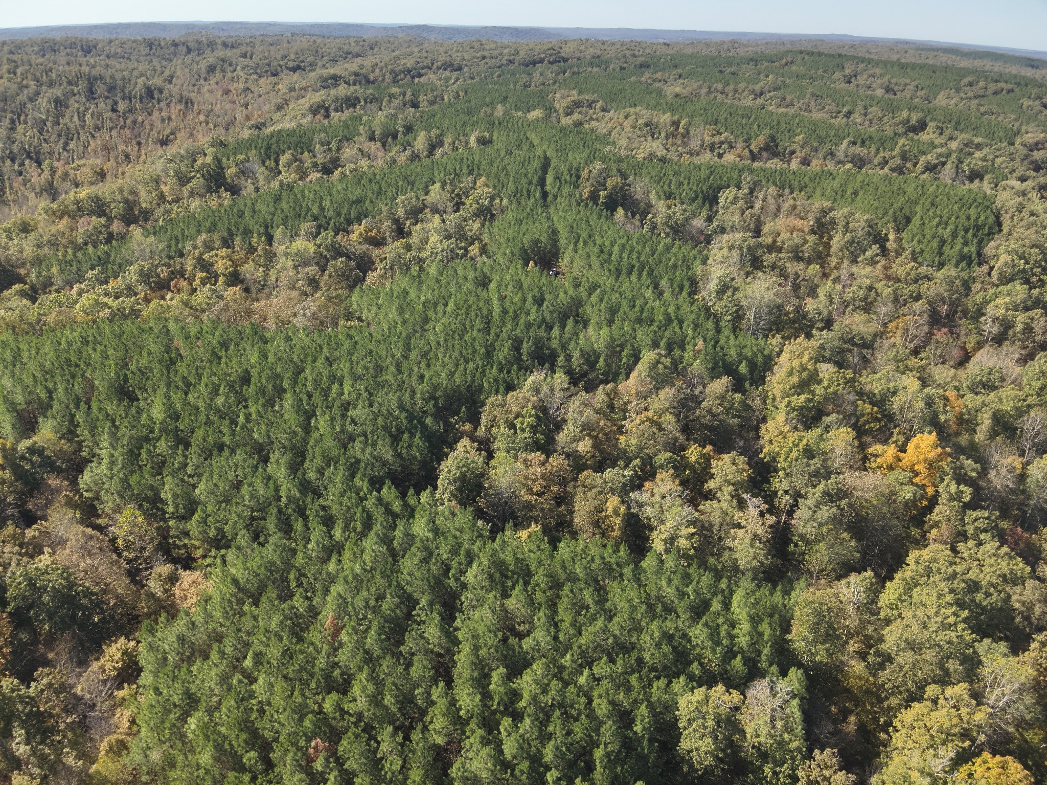 0 Owl Hollow Road Linden, TN 37096 - Photo 10 of 28 Gallery Image 10