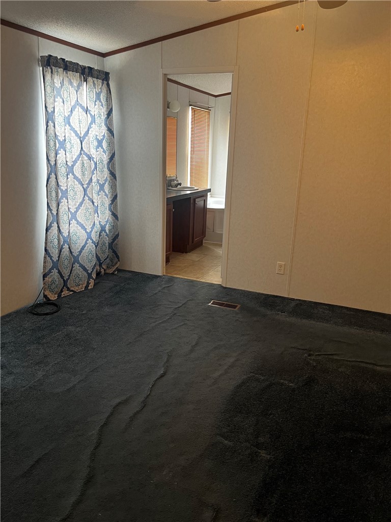 388 County Road 1341 Alice, TX 78332 - Photo 13 of 21 Master Bedroom
