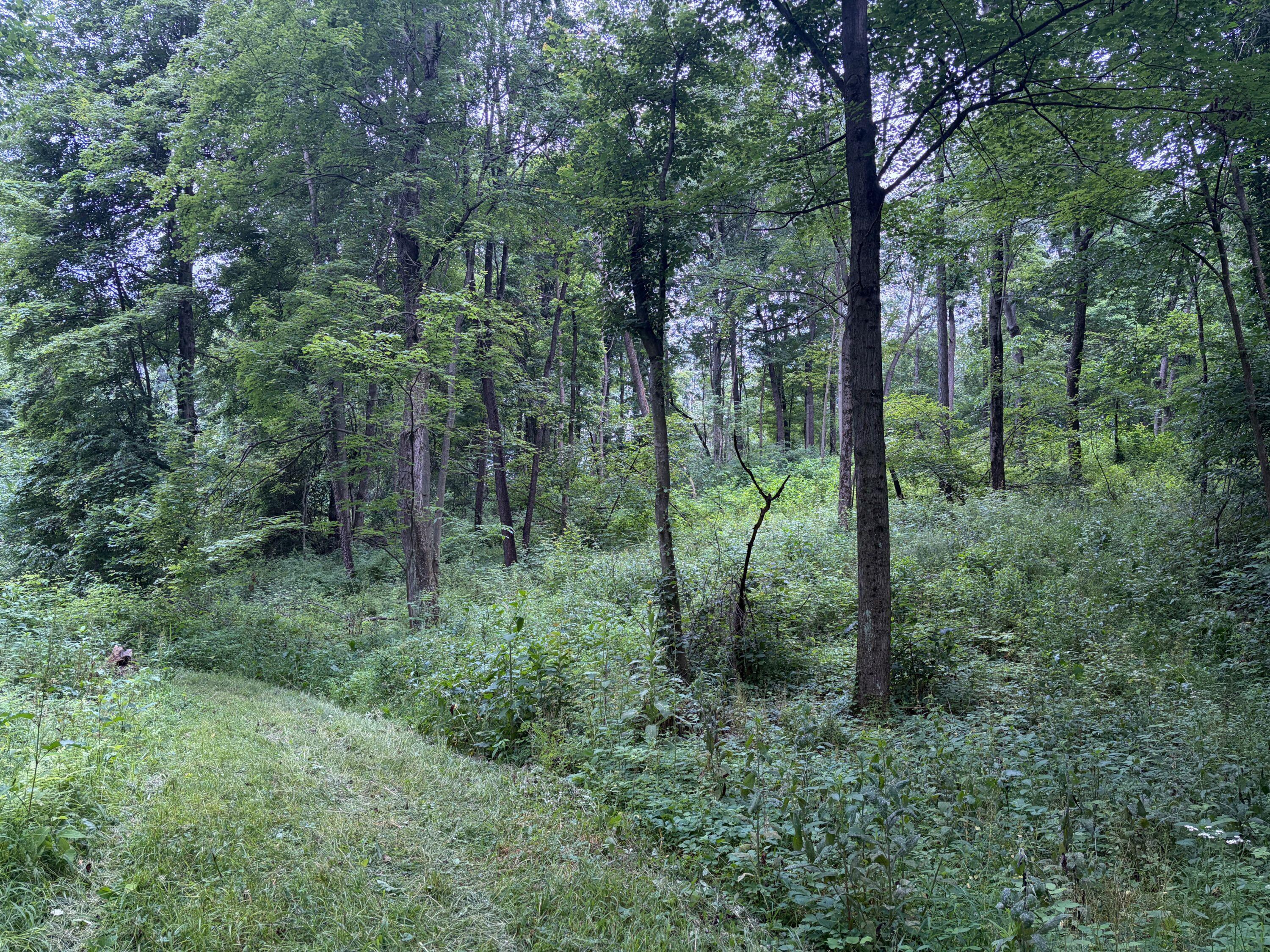 52402 Oak Plains Road Marcellus, MI 49067 - Photo 27 of 59 IMG_8492