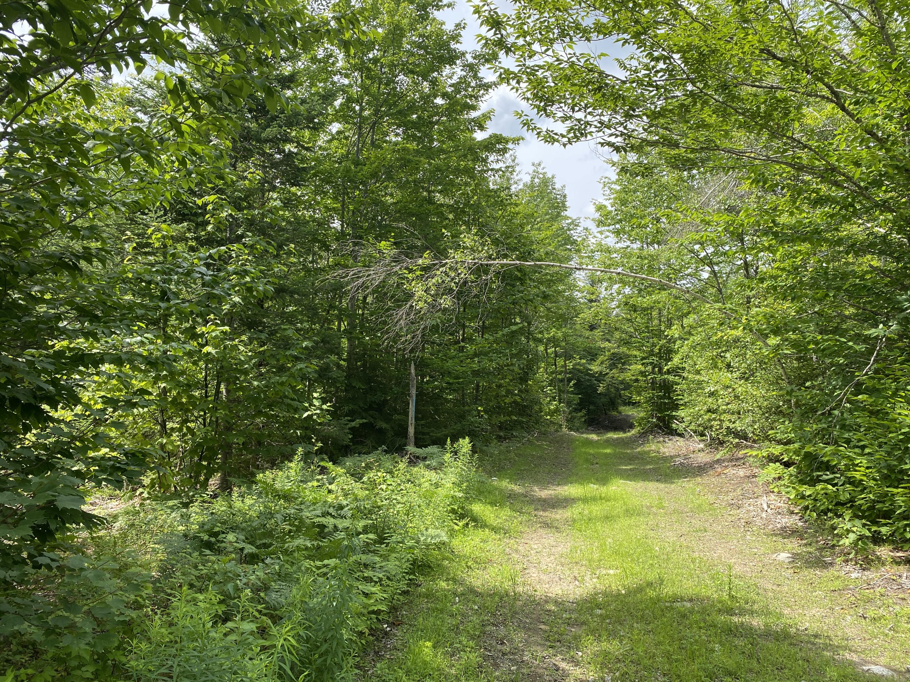 1511 Otis Road Ellsworth, ME 04605 - Photo 5 of 15 IMG_3905