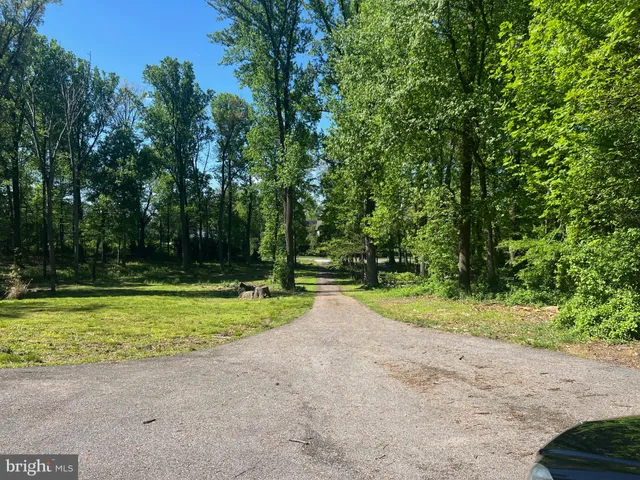 a view of outdoor space with trees