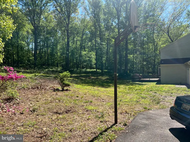 a view of a backyard with large trees