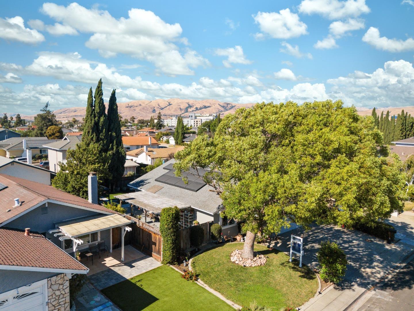 205 Evergreen Way Milpitas, CA 95035 - Photo 6 of 31 a view of a house with yard swimming pool and outdoor seating